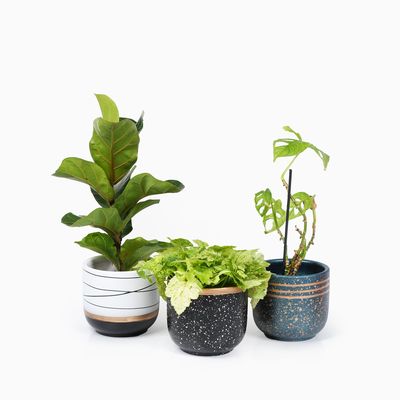 Bloempotten Binnen – Medium Set van 2 - Keramiek - Gouden Rand - Bloempot buiten - Afvoergat - ⌀19 cm – Wit Blauw / Navy 2