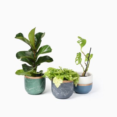 Bloempotten Binnen - Keramiek - Gouden Rand - Bloempot buiten - Afvoergat 24 cm - Grijs – Groot 1