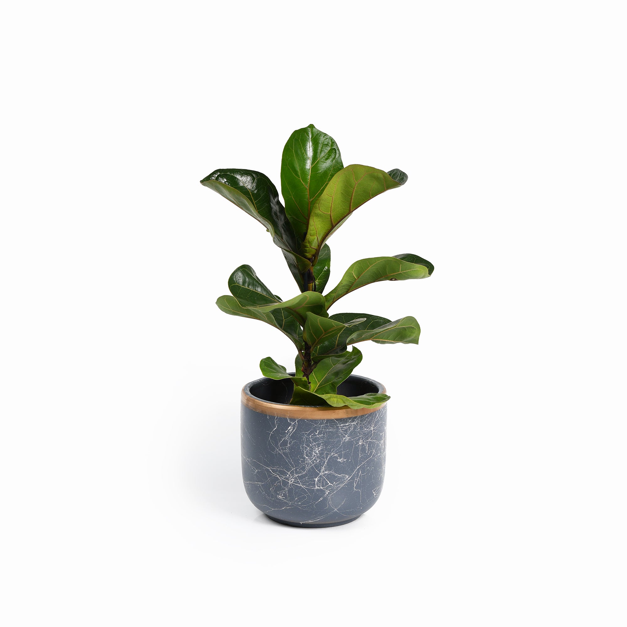 Bloempotten Binnen - Keramiek - Gouden Rand - Bloempot buiten - Afvoergat 24 cm - Grijs – Groot