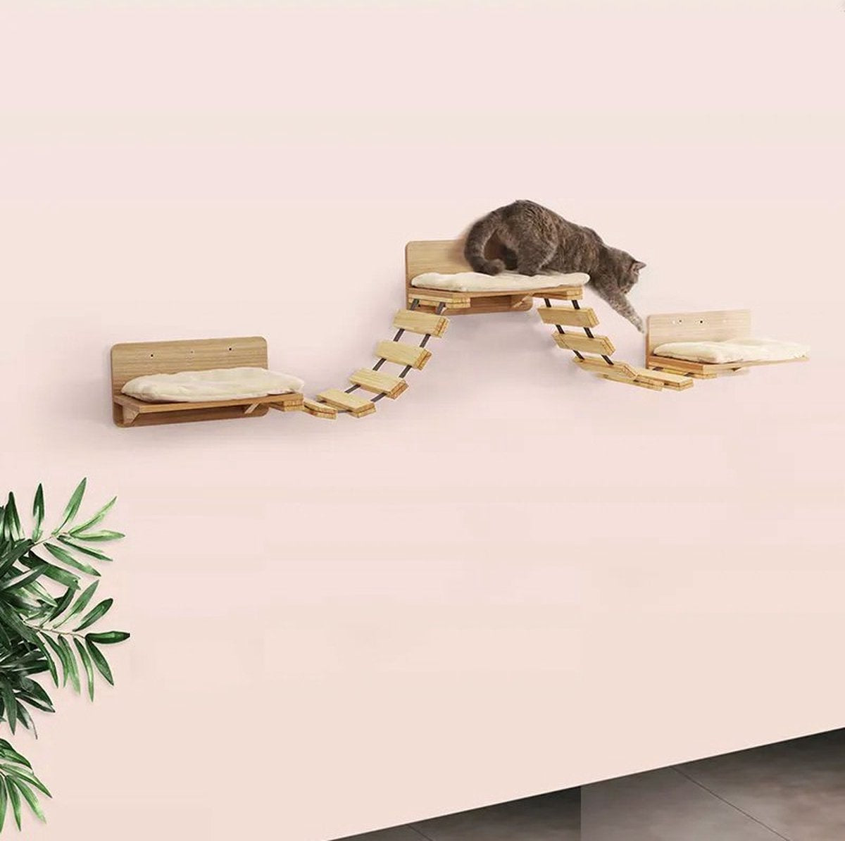 Katten klimmuur - 2 Ladders en 3 muurplanken - Kattenbrug - 120 cm - Klim wand - Krabpaal muur - Klimmuur kat